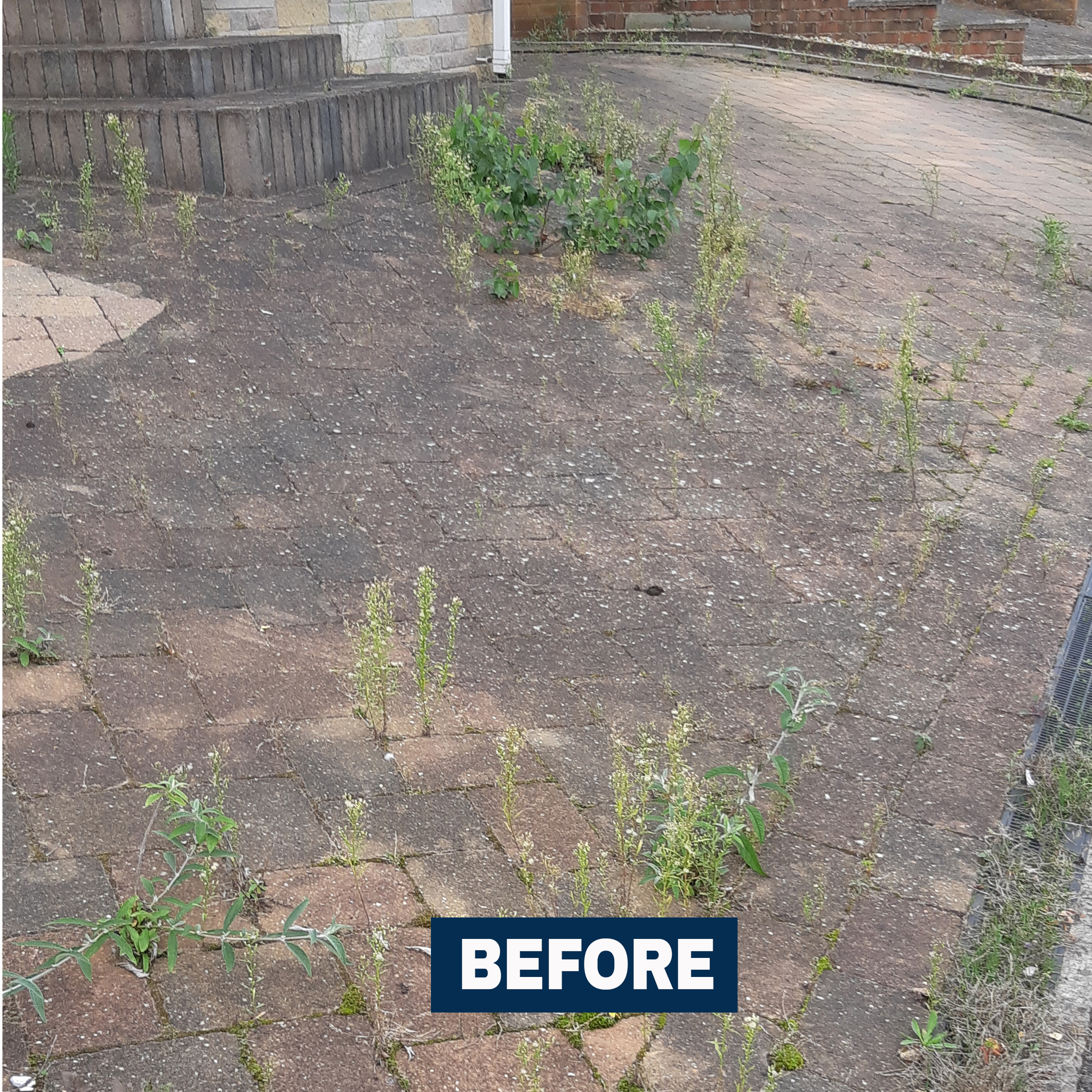 Pre-cleaned block paving driveway showing moss & weeds in Balderton